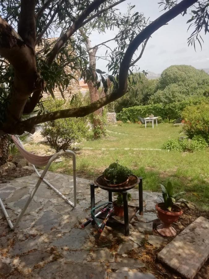 Bed and Breakfast Sa Domo De Afra Stintino Esterno foto