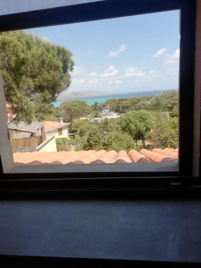 Bed and Breakfast Sa Domo De Afra Stintino Esterno foto